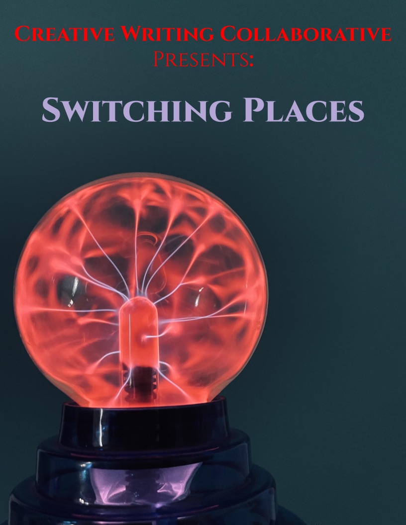 Switching Places cover